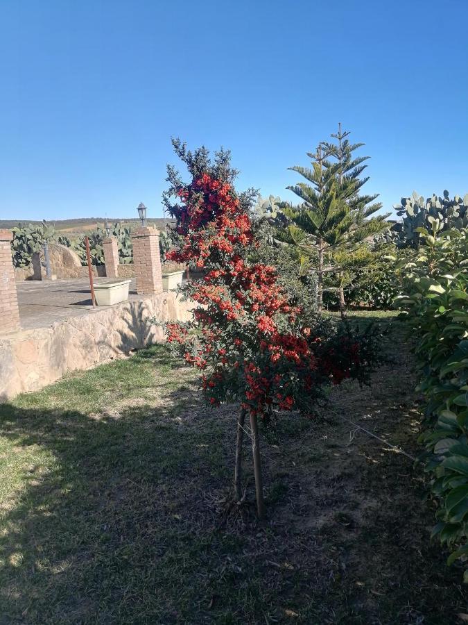 Villetta Immersa Nel Verde Piazza Armerina Dış mekan fotoğraf