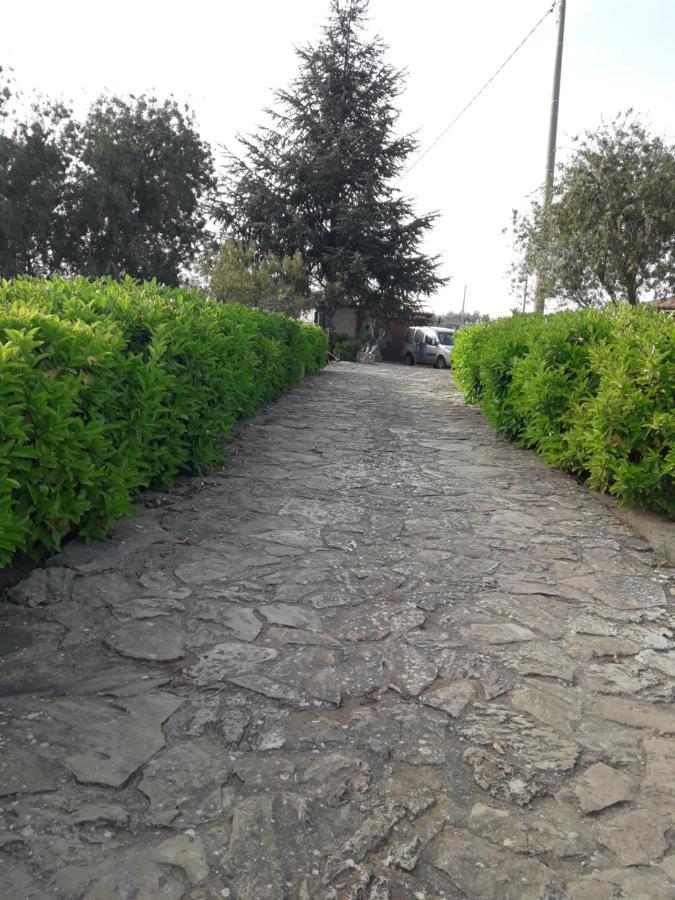 Villetta Immersa Nel Verde Piazza Armerina Dış mekan fotoğraf